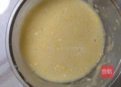 古巨基大呼好吃的十二锋味脆皮炸鲜奶的做法图解8