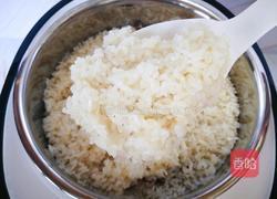蒸红豆糯米饭的做法图解9