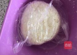 猪肉大葱饺子?的做法图解1