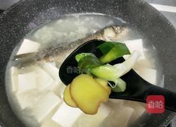 鲫鱼豆腐汤的做法图解12