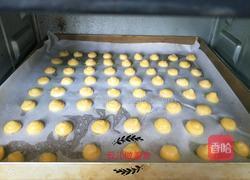 蛋黄小饼干的做法图解10