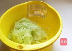 夏季祛湿 冬瓜猪肉馅儿饺子的做法图解3