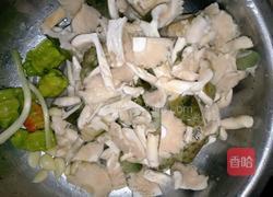 烩炒青头菌(家庭版)的做法图解3