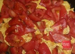 番茄鸡蛋盖浇面的做法图解12