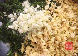 苜蓿草饺子的做法图解4