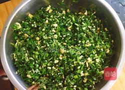 苜蓿草饺子的做法图解7