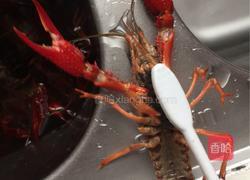 原味红烧小龙虾的做法图解2