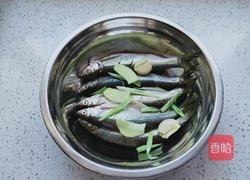 煎青凌子鱼的做法图解4
