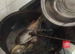 清炖鲫鱼的做法图解3