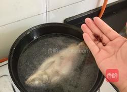清炖鲫鱼的做法图解4