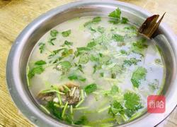清炖鲫鱼的做法图解14