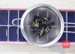高颜值蝶豆花特饮的做法图解3