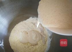 酥粒奶香包(波兰种)的做法图解2