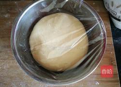 酥粒奶香包（波兰种）的做法图解7