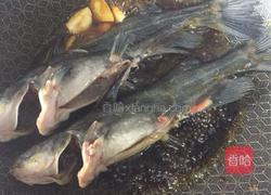 红烧昂刺鱼(黄辣丁)的做法图解4