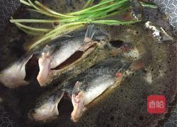 红烧昂刺鱼(黄辣丁)的做法图解5