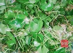 乌鸡雷公根汤的做法图解1