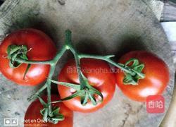 番茄酱的做法图解1