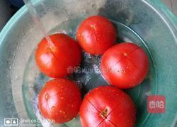 番茄酱的做法图解4
