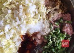 白菜猪肉虾仁水饺的做法图解5