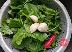 素炒木耳菜的做法图解2