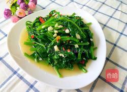 素炒木耳菜的做法图解9