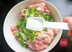 茄汁鲜肉馄饨的做法图解5