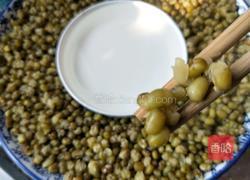 自制绿豆汤的做法图解6