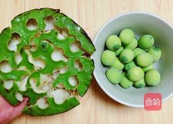 鲜荷叶百合莲子粥(清热解暑)的做法图解5