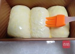 牛奶吐司的做法图解7