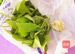 清炒红薯叶的做法图解1