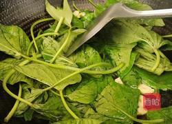清炒红薯叶的做法图解8
