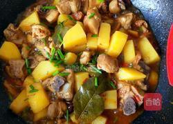 土豆烧鸡块的做法图解18