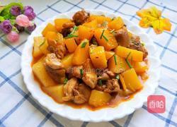 土豆烧鸡块的做法图解19
