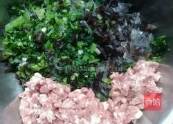 菜苗肉馅包子的做法图解2