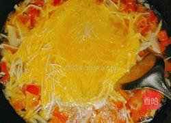 茄汁杂烩汤的做法图解5