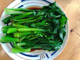白灼菜心