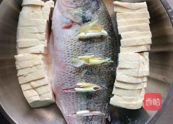 清蒸豆腐鲈鱼的做法图解4