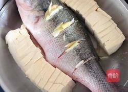 清蒸豆腐鲈鱼的做法图解5
