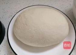 纯手工香菇猪肉水饺的做法图解1