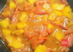 番茄炖土豆的做法图解12