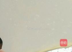 面包布丁的做法图解2