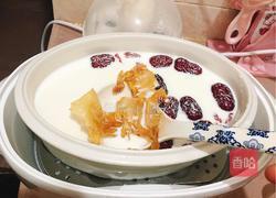 牛奶红枣炖鱼胶的做法图解5