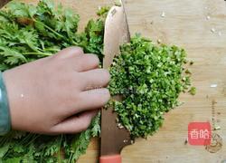 猪肉香菜水饺的做法图解6