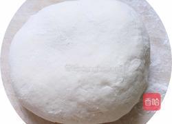 披萨(肉松)的做法图解1