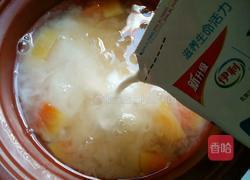 奶香木瓜银耳羹的做法图解7