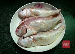 清蒸红衫鱼的做法图解4