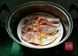 清蒸红衫鱼的做法图解9
