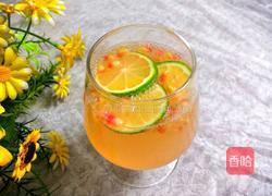 石榴气泡鸡尾酒的做法图解16