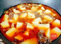 甲鱼烧土豆的做法图解14